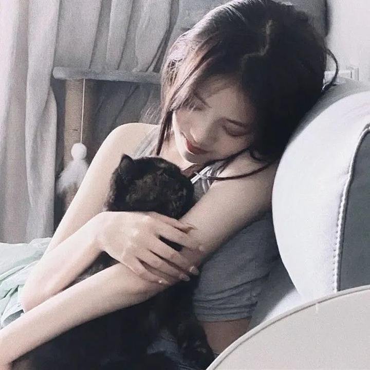 猛虎屠龙