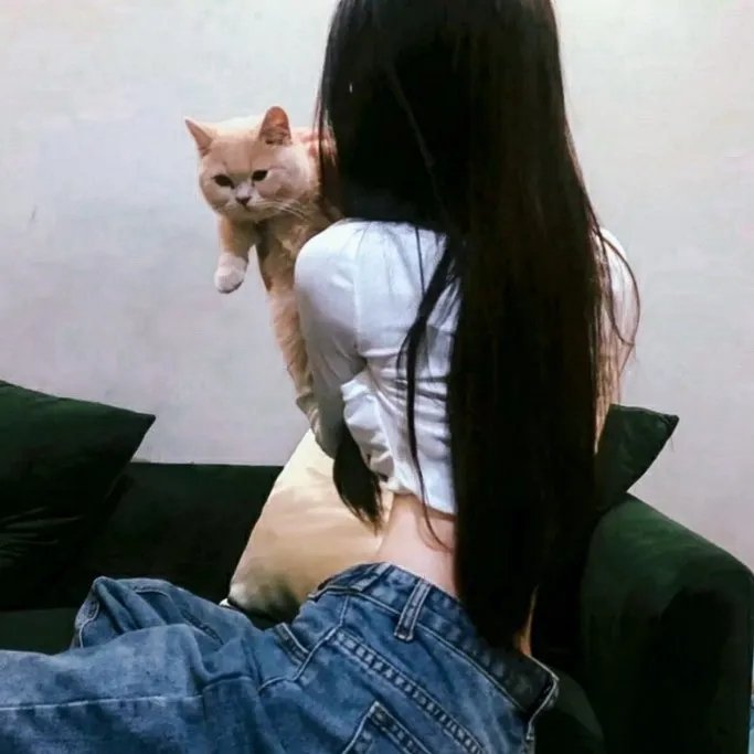 最美的安排